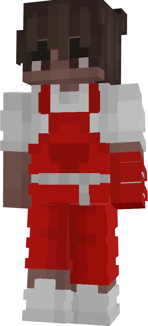 DardaCraft's skin