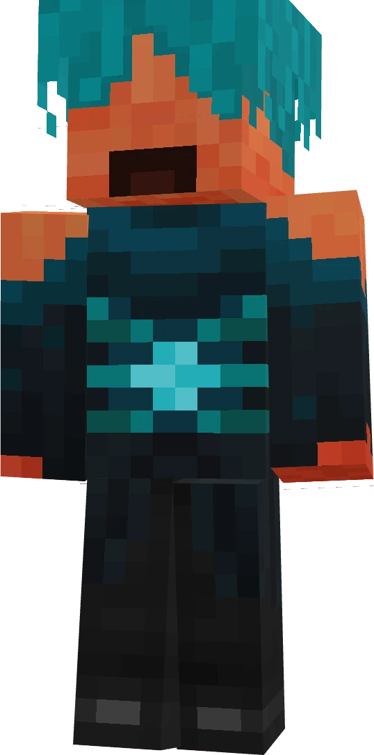 TCAS9084's skin
