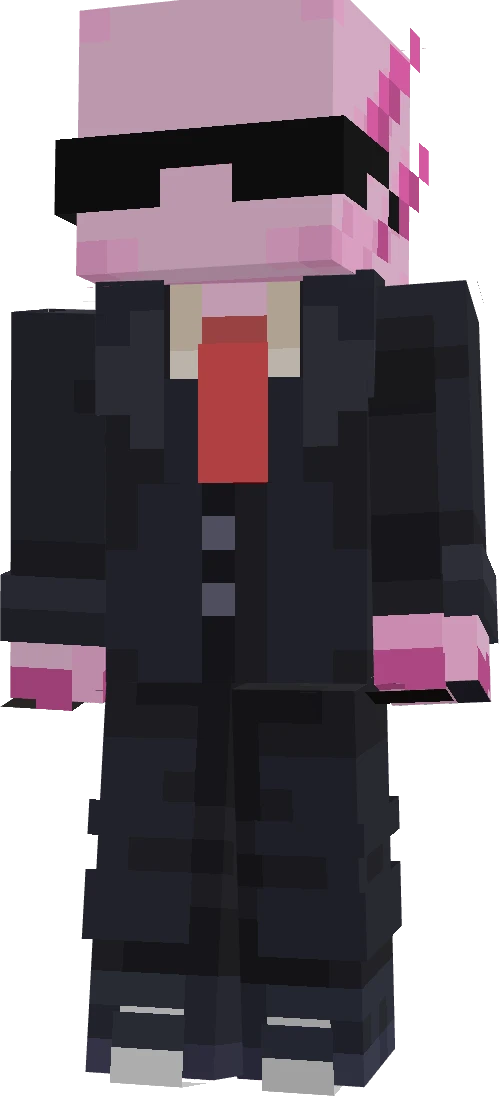 BudgetboyX15's skin