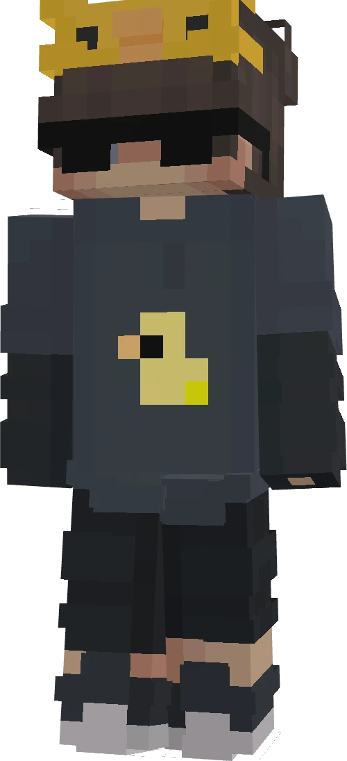 Socks for1 4931's skin