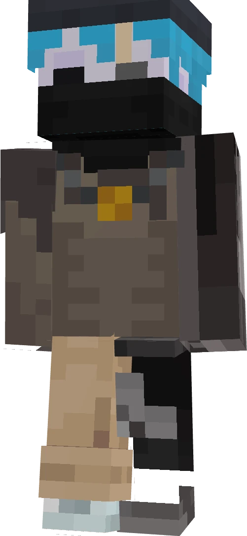 NyanGamerMLG's skin