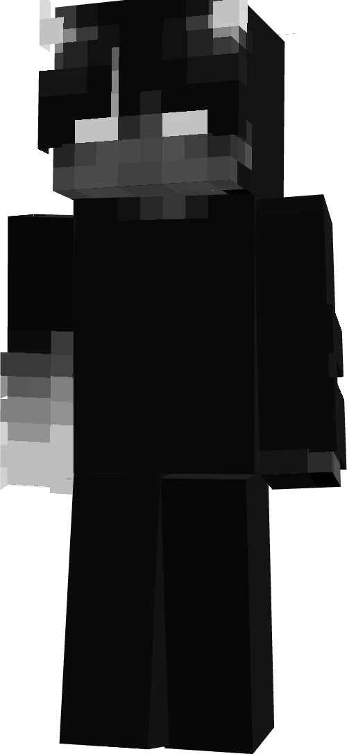 N6N067's skin