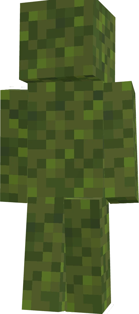 DEES DUCKZ's skin