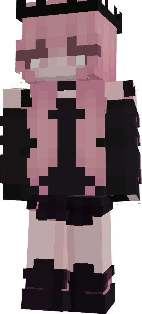Ninjaskskn's skin