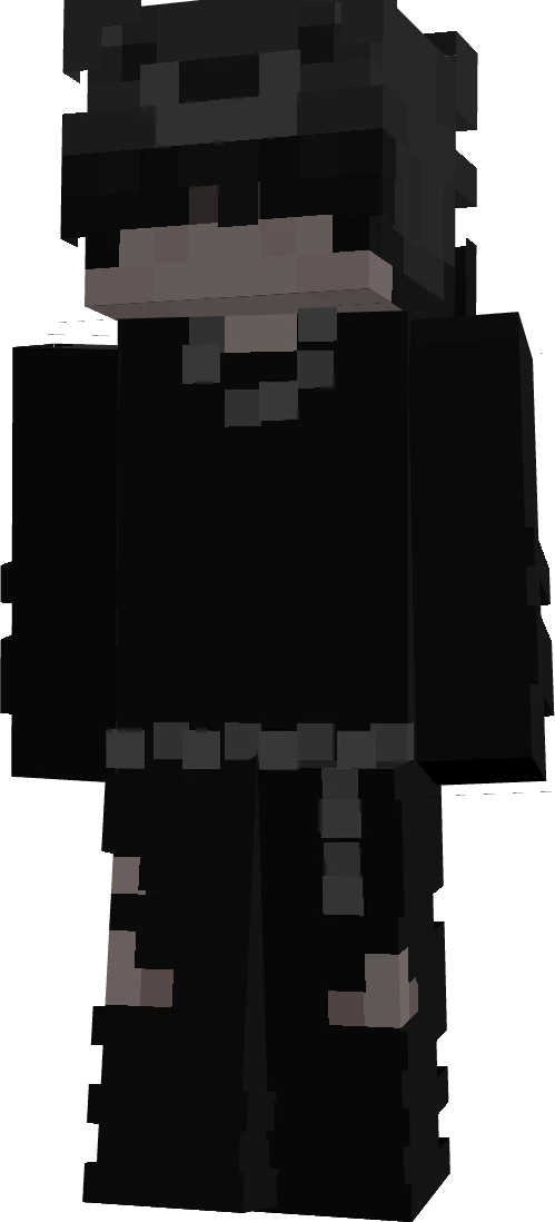 BigMir06's skin