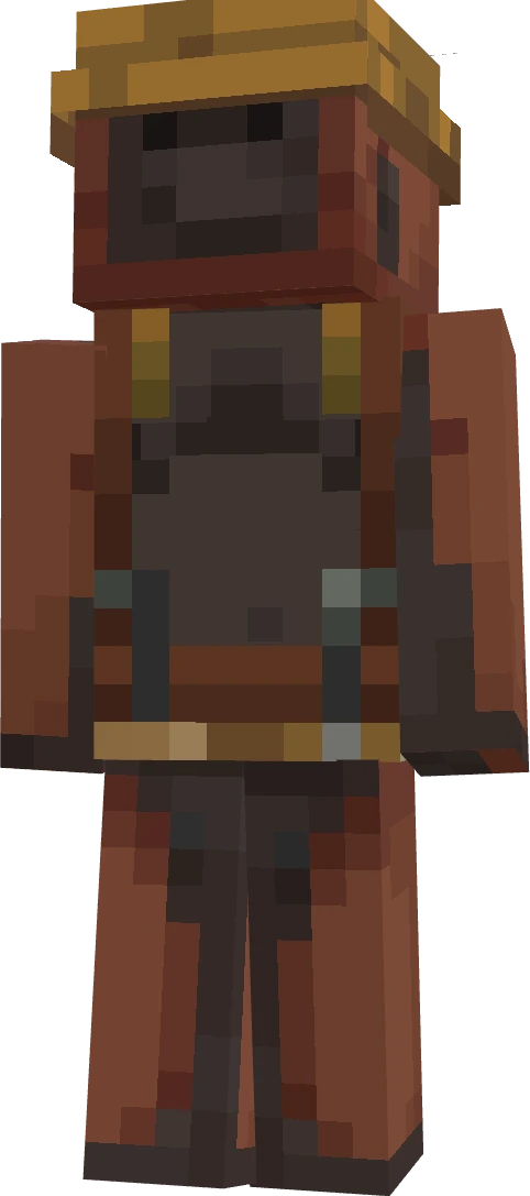 Pockycatt's skin