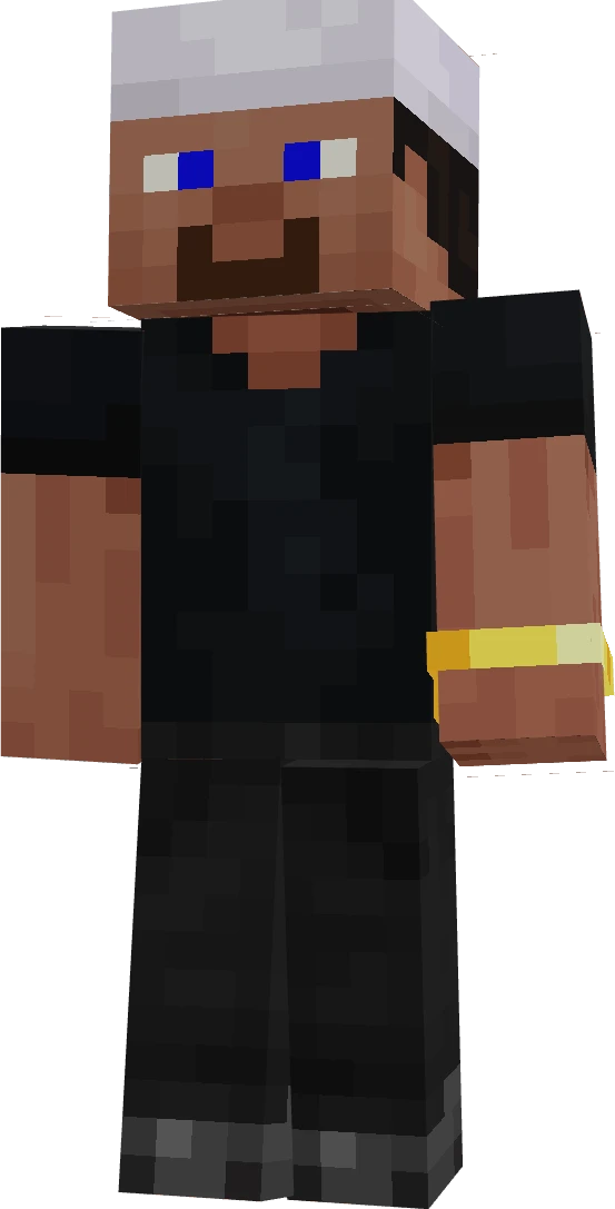 NinjaLegend1137's skin