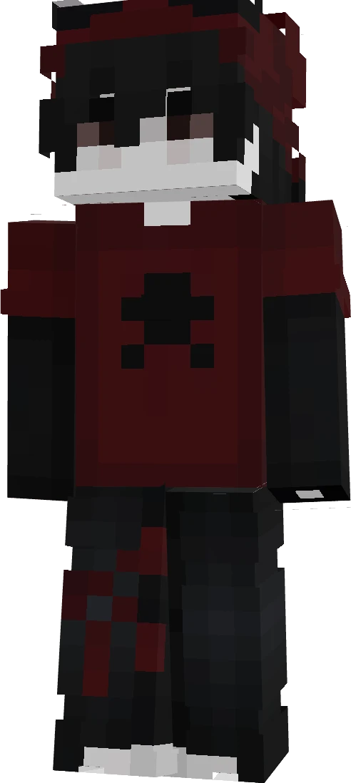 DXA0's skin