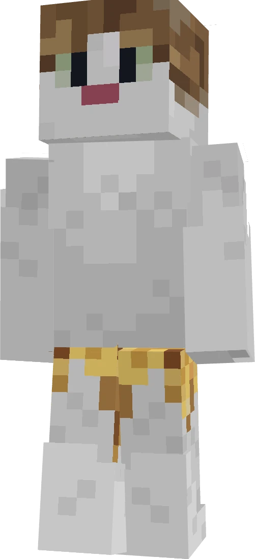 Akicat4's skin