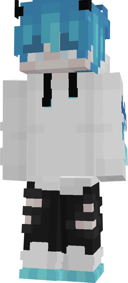 Dj94334's skin
