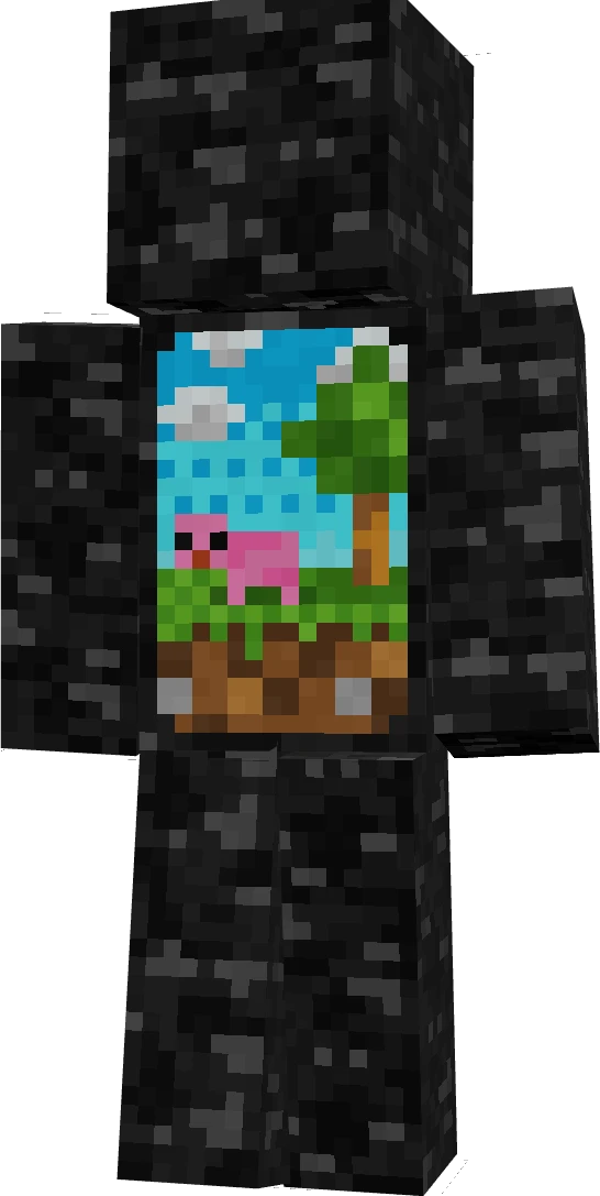 NinjaSonic5's skin
