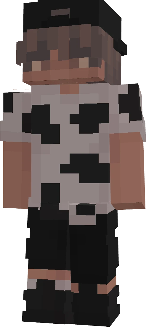 FlachsernSturm's skin