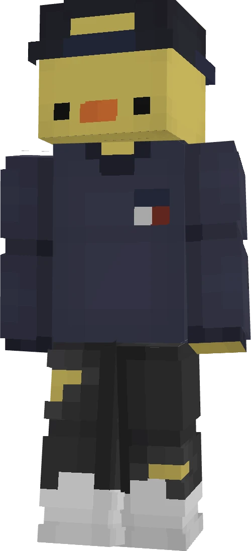 Popt4rttt's skin