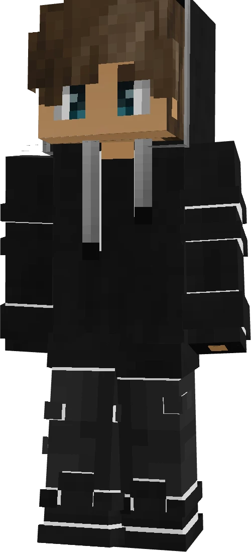 RolloTech's skin