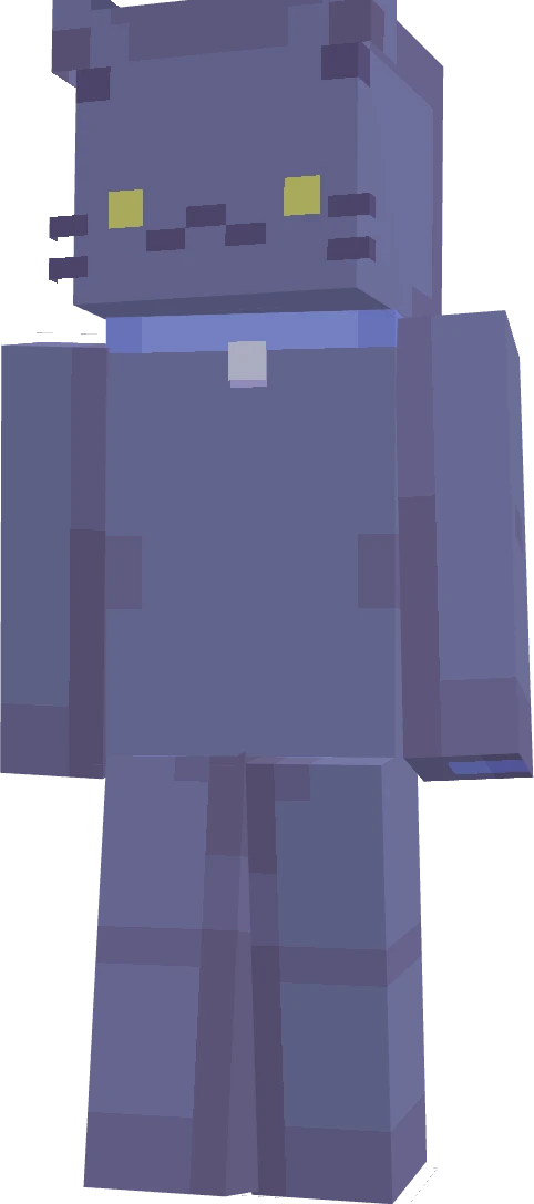 FinnIsCRAZYYY's skin