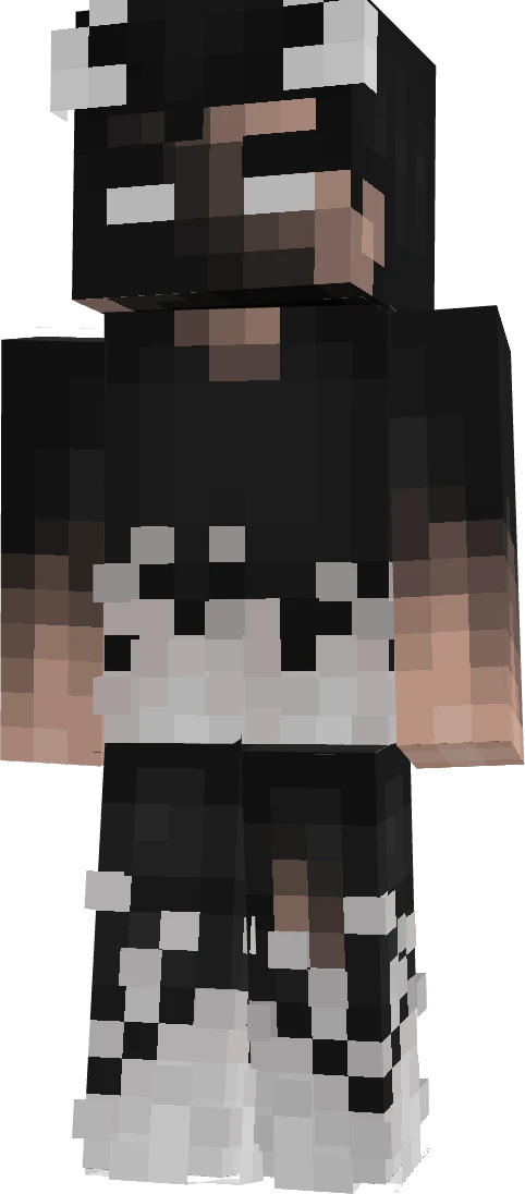 Player45376's skin