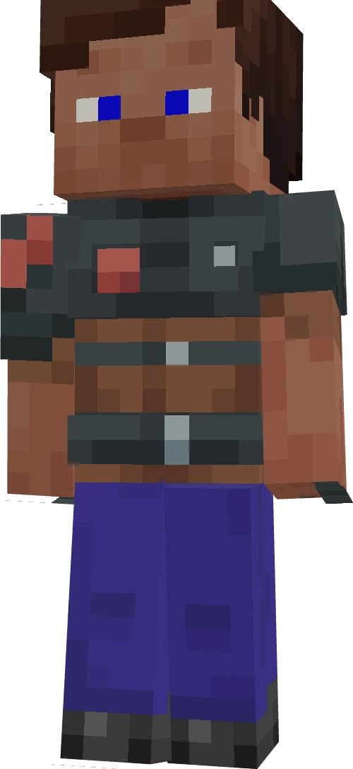 FIS1316's skin