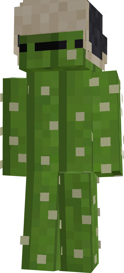 GameAddict21558's skin