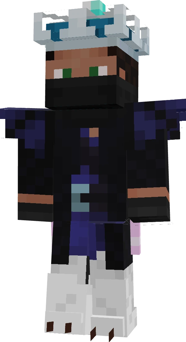 Arcticgaming825's skin