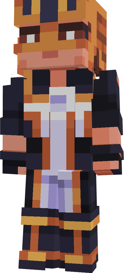 DNRA8271's skin
