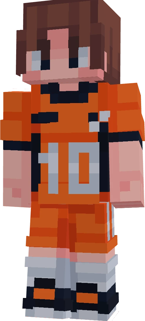 FuryNL2696's skin